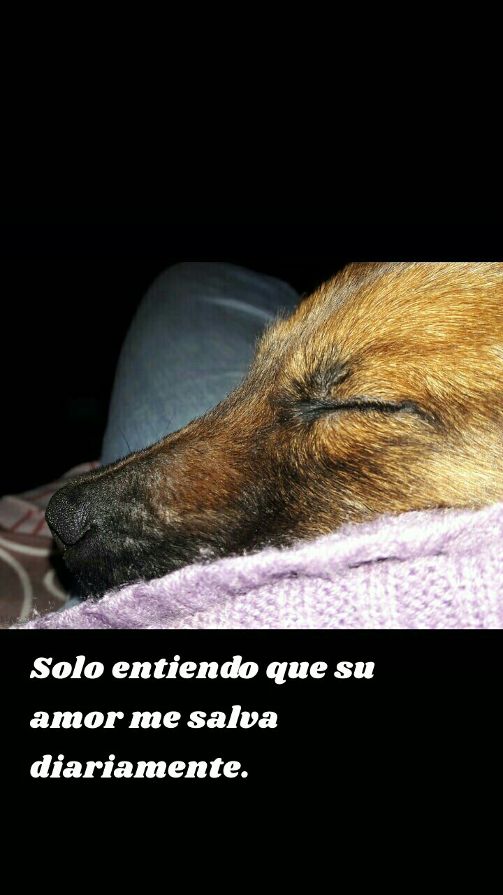 Solo entiendo que su amor me salva diariamente.